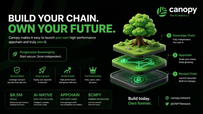A promotional banner for Canopy, "The AI-Native L1," advertising their "Build Your Chain. Own Your Future" service with a tree illustration on layered platforms representing Nested Chain, Appchain, and Sovereign Chain, noting $8.5M raised.