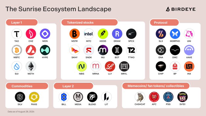 An infographic titled 'The Sunrise Ecosystem Landscape' by BirdEye (dated August 28, 2026) categorizing crypto tokens into Layer 1 (TAO, CHZ, MON, WBTC, AVAX, HYPE, SUI, WETH), Tokenized stocks (MSTR, INTC, HOOD, DRRX, SPCX, SKYY, SNDK, MU, BOT, TTWO, NBIS, MRNA, LLY, MRVL), Commodities (SILV, PAXG), Layer 2 (BILL, MEGA, BLEND, LIT), Protocol (SLX, MORPHO, UNI, ENA, OMG, AAVE, CHIP, BP, INX), and Memecoins/fan tokens (CASHCAT, AFC, PSG, SVB1).
