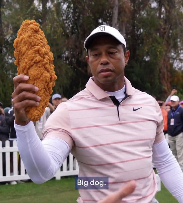 Tiger Woods holds an oversized fried chicken tender while wearing a pink striped Nike polo and white Titleist cap, with the caption "Big dog." appearing on screen—likely a humorous "Gm" (good morning) post pairing the golf legend's "Big Cat" nickname with Popeyes-style chicken.