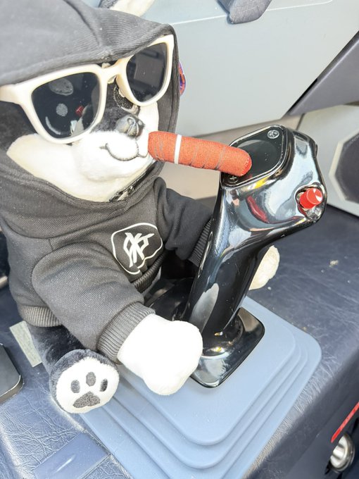 A stuffed toy dog wearing a gray hoodie with 'CK' logo and white sunglasses, sitting in a vehicle with its paws on the gear shift and an orange carrot-shaped object on its nose.
