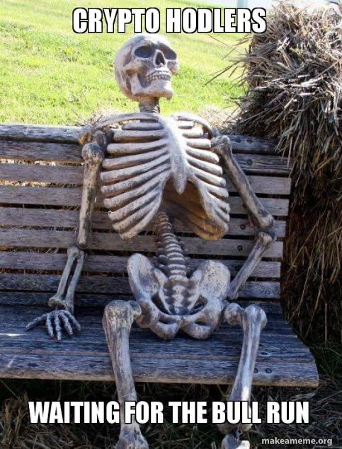 A 'makeameme.org' meme showing a human skeleton sitting on a wooden bench next to a hay bale, captioned 'CRYPTO HODLERS' at the top and 'WAITING FOR THE BULL RUN' at the bottom.