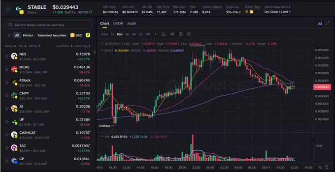 A cryptocurrency trading chart interface displays a 15-minute candlestick graph for STABLE at $0.029443, with various token listings like NES, MEME, 43lock, CNPY, UP, CASHCAT, TAC, and CP visible in the sidebar.