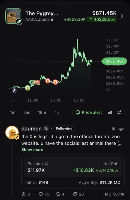 A screenshot shows a Pumpfun trading interface for "The Pygmy..." token, displaying a price chart that surged to $871.45K with a gain of +40229.5%, alongside a post from user "daumen" claiming the token is legitimate by linking to a Toronto Zoo article about a pygmy animal as the last social one. The image illustrates the viral meme coin trade that the caption credits as Daumen's notable 50x call to his 17,000 followers.