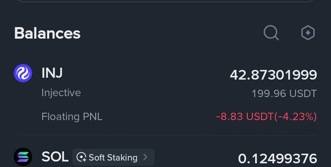 A dark-themed crypto wallet interface showing balances for INJ (Injective) at 42.87 worth 199.96 USDT with a -8.83 USDT floating PNL, and SOL with Soft Staking.