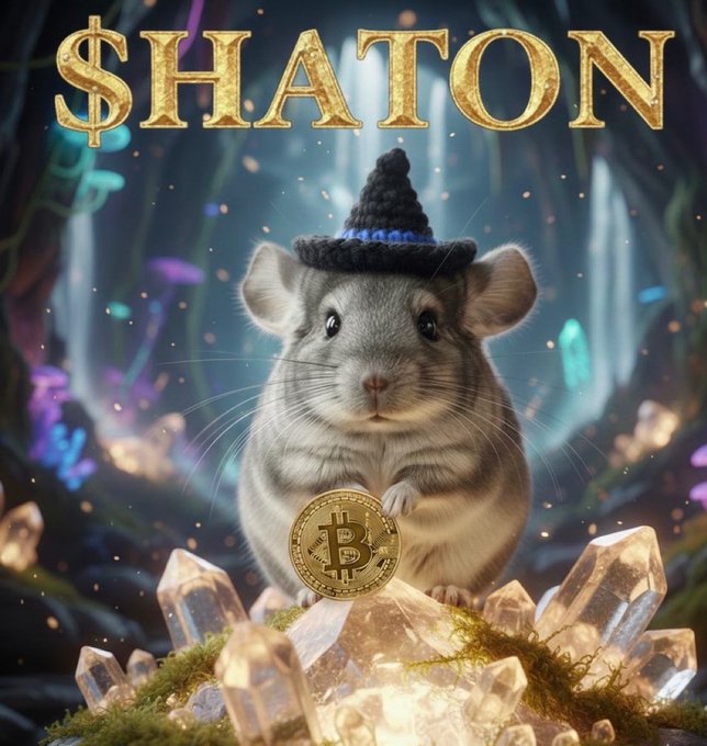 The image features a gray Chinchilla wearing a black hat with a gold coin attached to its ear. The Chinchilla appears to be standing on top of some crystals or rocks, possibly a gemstone. The caption below the image reads "Plenty of copy cats only one original Chinchilla $HATON CA J3FnBoPv9vLTPi2Lj1S4NFRaWoEDQ47Sy3E4ZfrVBAGS #BITCOIN #HATON Chinchilla Super Cycle NFA DYOR 2026, Jan 25".