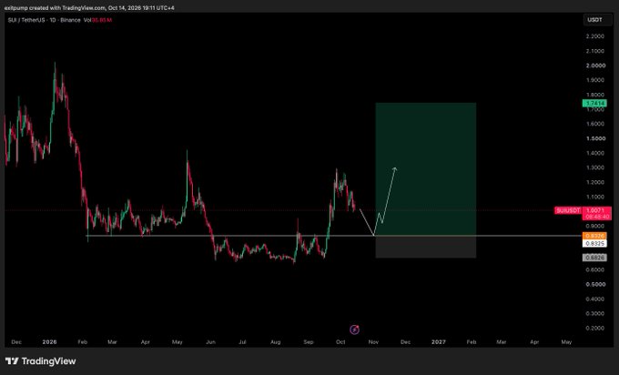A TradingView candlestick chart of SUI/USDT on Binance displays the price consolidating near a key support level around $0.80–$0.82, with an annotated green projection box indicating a potential 2x long swing trade target extending toward the $1.60 zone. The accompanying post advises waiting for the $0.80s low to build a long position and target at least a 2x return, directly mirroring the chart's marked entry zone and projected upside.