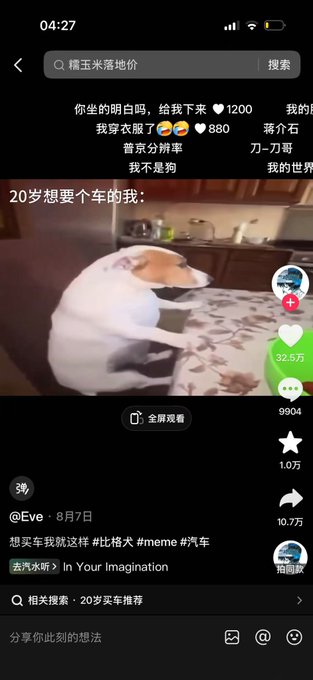 Chinese TikTok-style video screenshot showing a dog wearing a white shirt with the caption '20岁想要个车的我' (20-year-old me wanting a car), with hashtags including #比格犬 #meme #汽车 and trending sound 'In Your Imagination'.