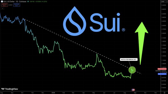 A TradingView chart of SUI/USD on Coinbase shows a descending trendline with a breakout highlighted and a large green arrow pointing upward, accompanied by the annotation "WATCH FOR BREAK OUT" and showing a current price of 0.8142, visually reinforcing the post's claim of a potential SUI comeback upon trendline breakout.