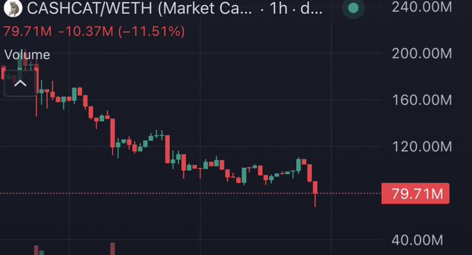 A 1-hour CASHCAT/WETH candlestick chart on a DEX shows a sharp sell-off, with price plunging roughly 11.5% (-$10.37M) to 79.71M market cap, visually capturing the "exit the ponzi" moment as the token crumbles from its ~$200M highs.