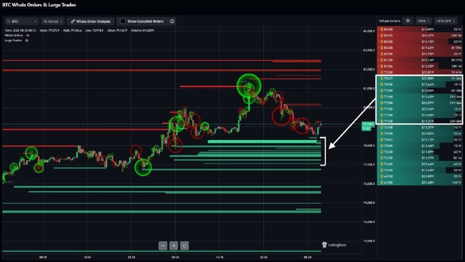 A TradingView-style candlestick chart titled "BTC Whale Orders & Large Trades" displaying Bitcoin's price action over the past 24 hours, overlaid with horizontal red and green volume bars representing large limit orders. The right panel shows "Whale Orders" ranging from approximately 75,500 to 82,000 USD, with prominent clustered buy orders visible in the 77,000–78,000 USD range (highlighted by a white bracket and arrow), visually confirming the post's observation of significant whale buying interest in that zone.