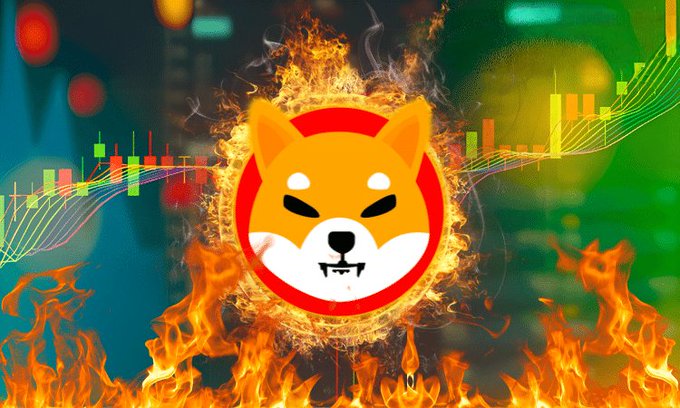 A dramatic image of the Shiba Inu dog token logo engulfed in flames with cryptocurrency candlestick charts in the background.