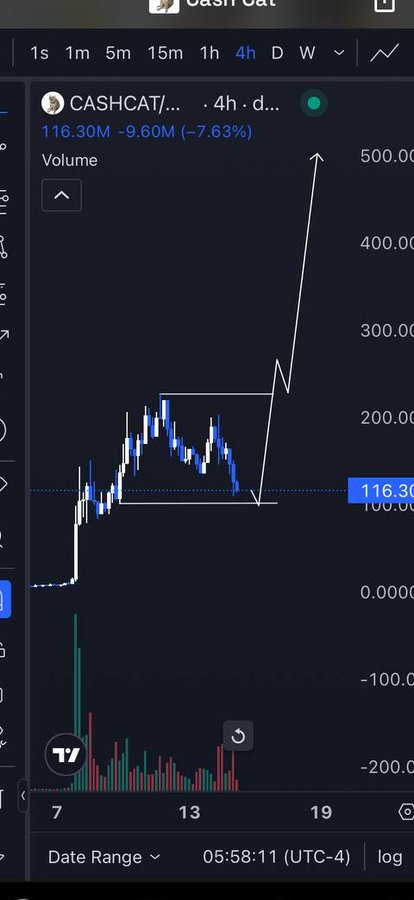 A 4-hour TradingView chart of CASHCAT/USDT showing a price decline of -9.60M (-7.63%) to 116.30M, with hand-drawn lines indicating a bullish breakout projection upward from a consolidation range, though the recent price action and accompanying note suggest possible wicks down toward 90M before continuation.