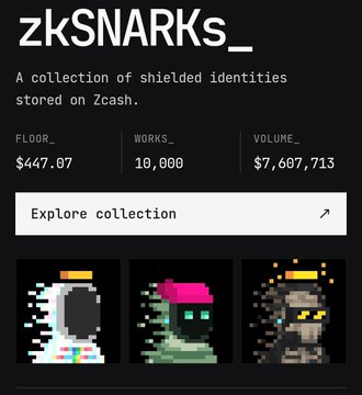 A screenshot of a Zcash NFT collection page titled 'zkSNARKs_' described as 'A collection of shielded identities stored on Zcash,' showing a floor price of $447.07, 10,000 works, and a volume of $7,607,713.