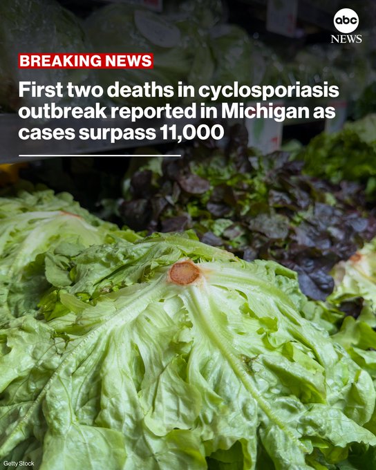 An ABC News breaking news graphic reads 'First two deaths in cyclosporiasis outbreak reported in Michigan as cases surpass 11,000' overlaid on an image of heads of lettuce.