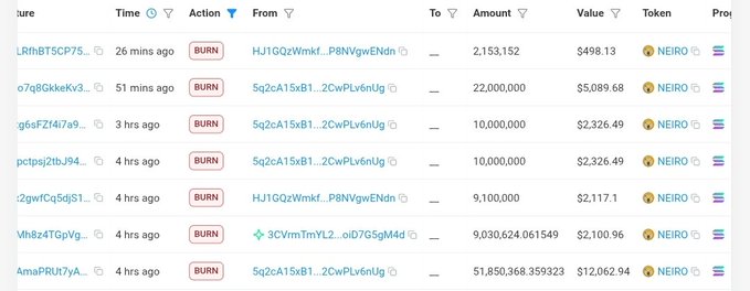 A transaction history table showing multiple "BURN" actions of NEIRO tokens, with various transactions including 22,000,000 NEIRO ($5,089.68) and 51,850,368.359323 NEIRO ($12,062.94) being destroyed.