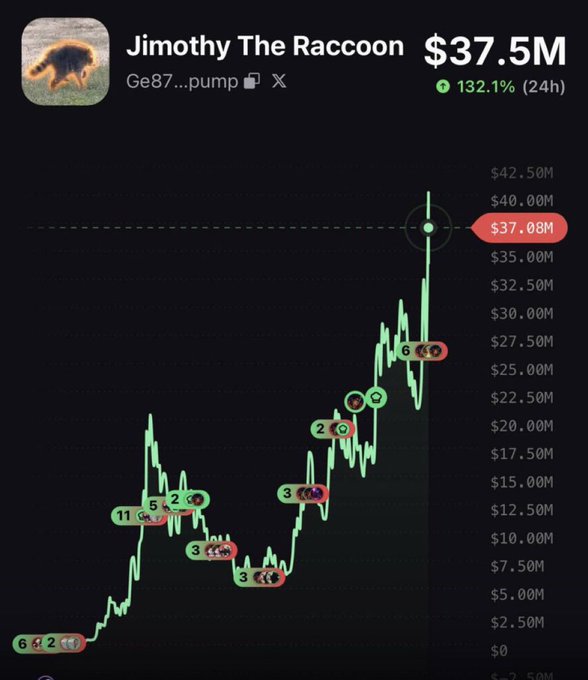 A candlestick price chart for 'Jimothy The Raccoon' (Ge87...pump) showing a current price of $37.5M with a 132.1% gain over 24 hours.