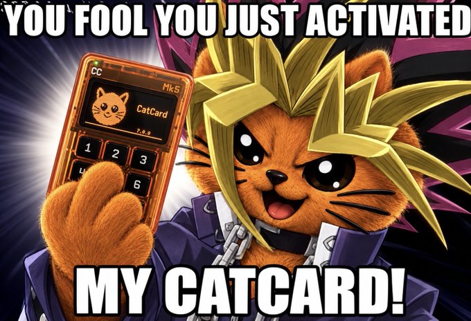 An anime-style meme shows a cat with spiky yellow hair holding a 'CatCard' device, with bold text reading 'YOU FOOL YOU JUST ACTIVATED MY CATCARD!'.