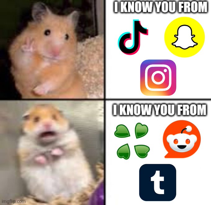 The image shows two hamsters, one sitting on a bed with its arms raised and another hamster standing next to it. The first hamster has a thumbs up sign while the second hamster has an Instagram logo. Below these images are four different social media logos such as a thumbs up, thumbs down, heart, and star. The image also contains text that reads "I know you from", which is related to the social media logos in the bottom right corner of the image.