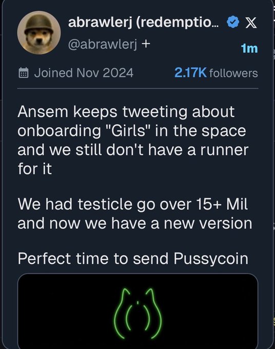 A tweet from @abrawlerj with 2.17K followers complains about the lack of infrastructure ("runner") for Ansem's "Girls" meme coin launches on Solana, contrasting it with the successful "testicle" coin that hit 15M+ market cap, and proposes launching "Pussycoin" with a green neon logo as the perfect new memecoin to capitalize on the trend.
