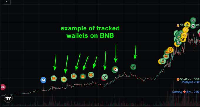 A trading chart titled "example of tracked wallets on BNB" displays memecoin tokens (including X and various animal-themed coins) marked with green arrows along a price timeline, illustrating how a tool like AlphaWallets would identify and track top memecoin traders' wallet activity on the BNB chain.