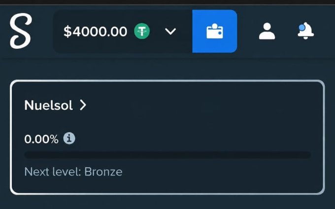A user celebrates winning $15,000 on Stake (with $4000.00 USDT balance visible), showing their account username "Nuelsol" at 0.00% progress toward the Bronze VIP level as they prepare to tip followers in honor of Argentina and Messi's victory.