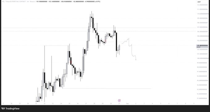 A TradingView candlestick chart for USDT/USDC on Binance showing price action with a marked low point and price range from approximately 99.8 to 101.5.