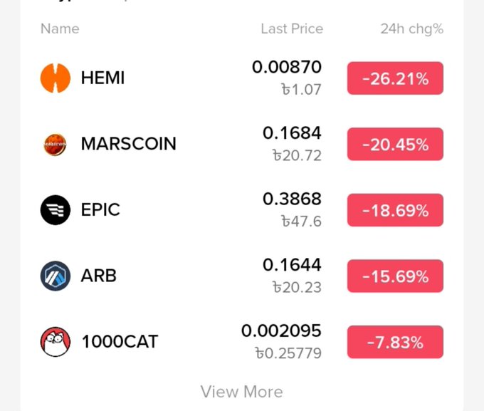 A cryptocurrency price table showing declines over 24 hours, including HEMI at 0.00870 (-26.21%), MARSCOIN at 0.1684 (-20.45%), EPIC at 0.3868 (-18.69%), ARB at 0.1644 (-15.69%), and 1000CAT at 0.002095 (-7.83%).