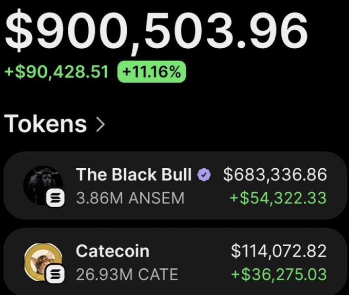 The image shows a portfolio valued at $900,503.96, up $90,428.51 (+11.16%), with "The Black Bull" holding 3.86M ANSEM worth $683,336.86 (+$54,322.33) and Catecoin holding 26.93M CATE worth $114,072.82 (+$36,275.03), visually supporting the post's claim of massive gains from early investments in $ANSEM and $CATE.