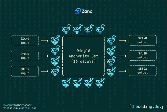 The image illustrates Zano's Ring16 anonymity set mechanism, showing how inputs of $ZANO, $fUSD, and $BTCx assets are mixed with 16 decoys (depicted as blue bird icons) to obscure the transaction trail before producing outputs of the same asset types. This visual supports the post's point about Zano Confidential Assets providing strong privacy for balances, sender/receiver, amounts, and asset type, with the Ring16 structure ensuring private-by-default token transactions across multiple asset types.