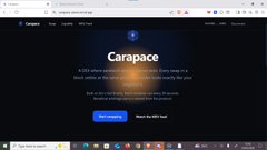 The image shows a screenshot of a computer screen displaying a webpage called "Carapace". The screen contains text that appears to be instructions or a demonstration about running test transactions using Carapace. It seems to be related to a video, possibly explaining the process in detail or showcasing the application's features and functionality on the screen.