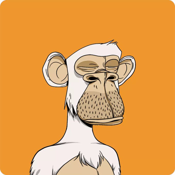 Illustration of a bored-looking Bored Ape-style cartoon monkey with a white fur body against an orange background.