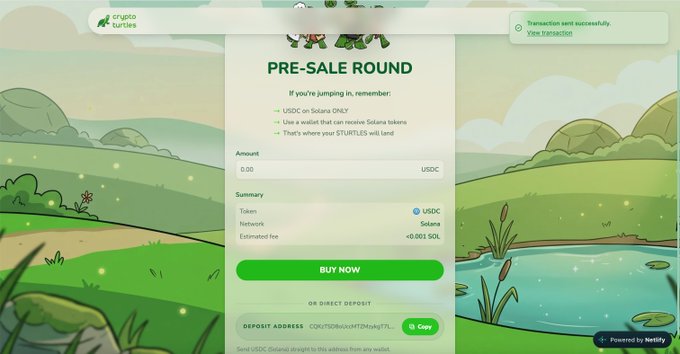 A 'PRE-SALE ROUND' purchase screen for Crypto Turtles on the Solana network, showing options to buy with USDC and a 'BUY NOW' button with a deposit address.