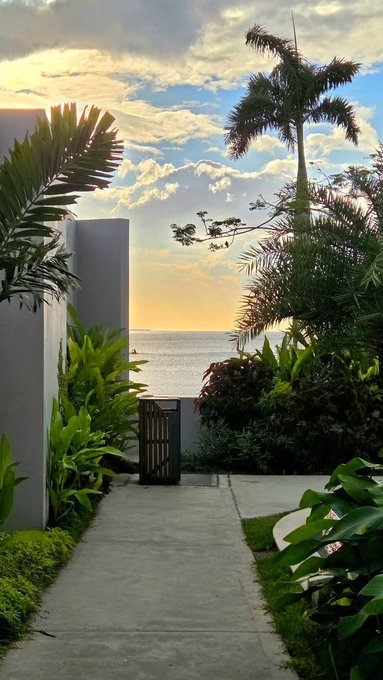 A tropical pathway leads toward an ocean view at sunset, framed by palm trees and lush greenery.