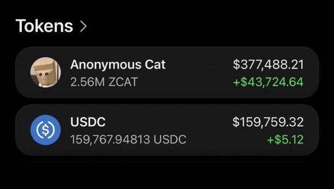 A crypto wallet screenshot displays a balance of 2.56M ZCAT (Anonymous Cat) valued at $377,488.21, showing a +$43,724.64 gain, alongside 159,767.94813 USDC worth $159,759.32. The image appears to be promoting an airdrop of $ZCAT tokens to the first 222 commenters who share their Solana addresses, showcasing the wallet's holdings as social proof of the token's value.