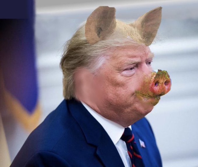 The image shows Donald Trump edited with a pig's snout and ears, humorously suggesting a "TRUMP" meme coin that blends political satire with crypto culture. The cartoonish edit plays on the "pig" meme trope, implying a coin backed by someone with piggy tendencies.