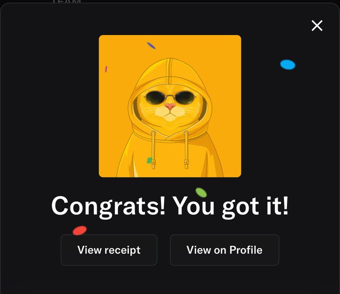 A digital confirmation screen displays a yellow cat in a hoodie wearing sunglasses, with the text 'Congrats! You got it!' and buttons for 'View receipt' and 'View on Profile.'