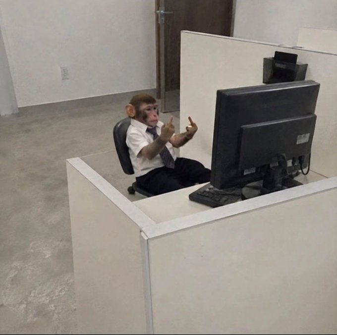 A monkey wearing a white dress shirt and tie sitting at an office cubicle desk in front of a computer monitor, raising its hands with middle fingers extended.