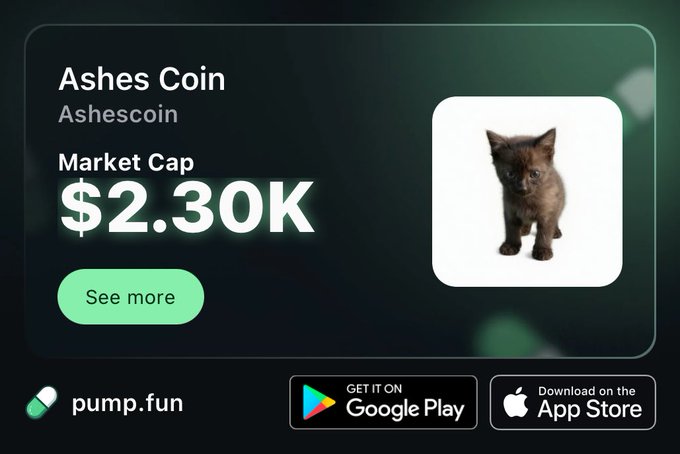 A Pump.fun listing card for 'Ashes Coin' (Ashescoin) showing a market cap of $2.30K alongside an image of a black kitten, with Google Play and App Store download buttons.