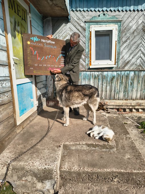 A man holds a handmade sign for 'MetaFlow' displaying DOGE/CAT at $842985.46 along with a crypto-style candlestick chart, while standing beside a husky-type dog chained on a porch with a sleeping cat nearby.