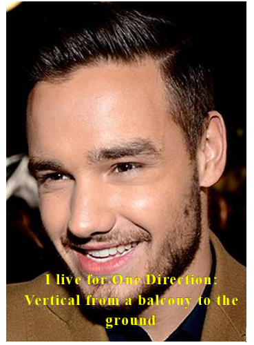 A smiling man with short brown hair and stubble is pictured, with yellow text overlay reading 'I live for One Direction: Vertical from a balcony to the ground.'