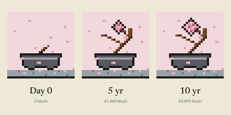 The image shows three different stages of a bonsai plant's growth, with each stage represented by a small cartoon illustration. The first stage depicts a seedling sprouting from a black pot filled with soil. The second stage shows the same seedling growing into a mature tree in a larger black pot. The third stage features the fully grown tree in a smaller black pot. The image also includes text that provides information about bonsai trees and their growth, as well as a link to a post discussing the value of bonsai plants on the internet.