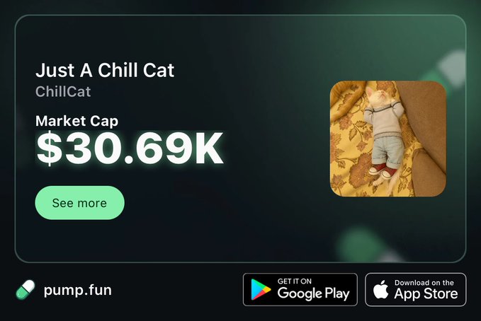A promotional graphic for a cryptocurrency or app called 'Just A Chill Cat' (ChillCat) with a market cap of $30.69K, displayed on the pump.fun platform with a photo of a cat doll wearing a sweater.