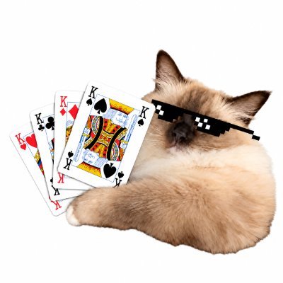 A Ragdoll cat wearing pixelated sunglasses, lying down and holding a hand of four kings (Clubs, Diamonds, Spades, Hearts) in playing cards.
