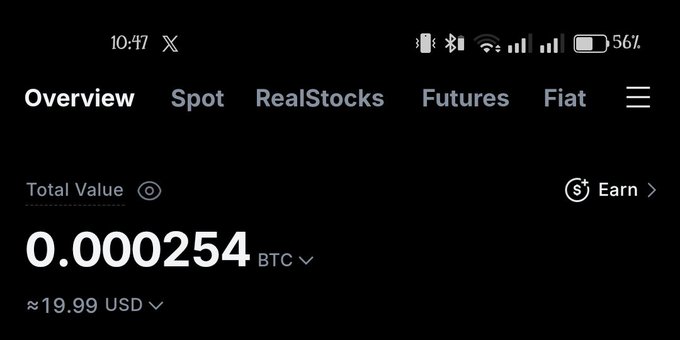 A dark-themed cryptocurrency wallet screenshot showing a total value of "0.000254 BTC" equivalent to "≈19.99 USD", with navigation tabs for Overview, Spot, RealStocks, Futures, and Fiat.