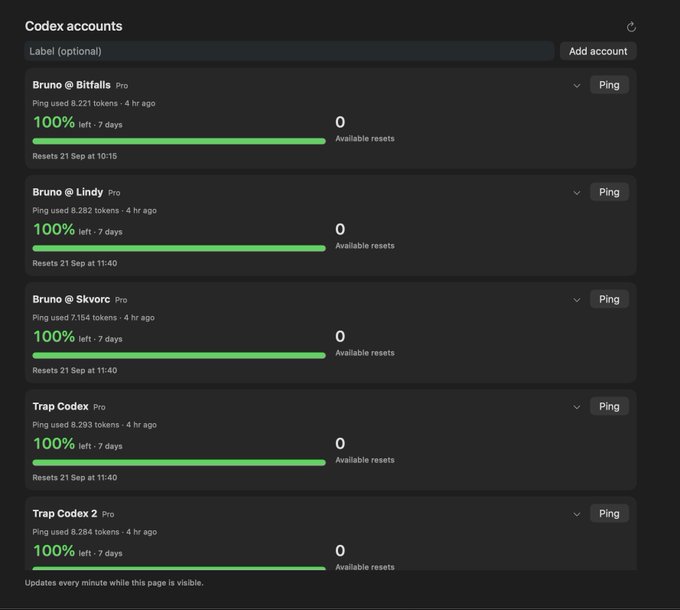 A dark-themed dashboard titled 'Codex accounts' displaying usage statistics at 100% for several Pro accounts, including 'Bruno @ Bitfalls', 'Bruno @ Lindy', and 'Trap Codex'.