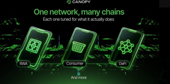 A digital promotional graphic for CANOPY with the tagline 'One network, many chains', showing three glowing green smartphone icons labeled 'RWA', 'Consumer', and 'DeFi' over a digital wave pattern.