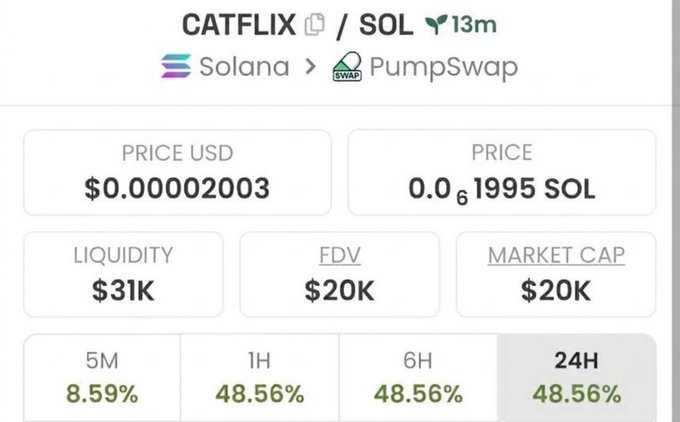 Cryptocurrency price tracking interface showing CATFLIX/SOL trading pair on Solana/PumpSwap with price of $0.00002003 and 24H change of 48.56%.