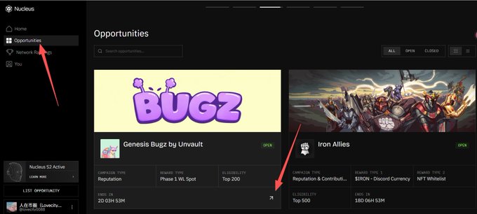 Screenshot of a Nuculus dashboard showing the "Opportunities" page with two opportunities listed: "Genesis Bugz by Unvault" and "Iron Allies", with red arrows pointing to the Opportunities sidebar menu item and the Iron Allies campaign.