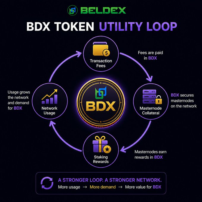 An infographic titled "BDX TOKEN UTILITY LOOP" for Beldex, illustrating a circular ecosystem flow involving Transaction Fees, Masternode Collateral, Staking Rewards, and Network Usage, with the tagline "A STRONGER LOOP. A STRONGER NETWORK."
