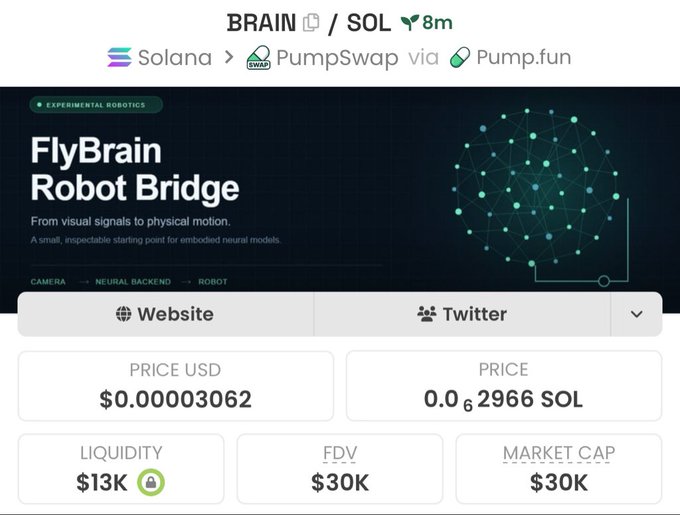 A screenshot shows a cryptocurrency token page for 'BRAIN' on Solana via PumpSwap and Pump.fun, describing it as 'FlyBrain Robot Bridge' with a price of $0.00003062 USD and a market cap of $30K.